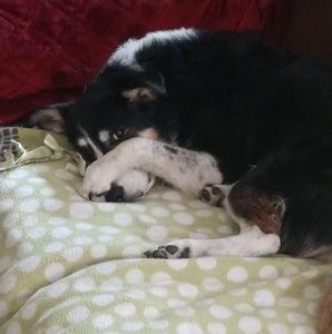 Meet your Posher, Christine